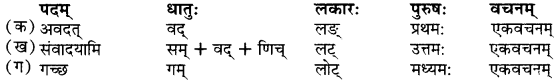 RBSE Solutions for Class 9 Sanskrit सरसा Chapter 5 शश-गजराज कथा 2