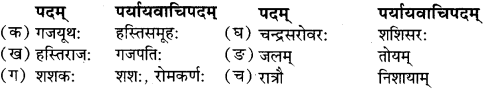 RBSE Solutions for Class 9 Sanskrit सरसा Chapter 5 शश-गजराज कथा 3