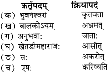 RBSE Solutions for Class 9 Sanskrit सरसा Chapter 7 प्रेरणापुञ्जः विवेकानन्दः 1