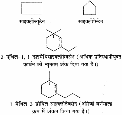 RBSE Solutions for Class 11 Chemistry Chapter 12 कार्बनिक रसायन: कुछ मूल सिद्धान्त और तकनीकें img 156