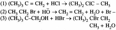 RBSE Solutions for Class 11 Chemistry Chapter 12 कार्बनिक रसायन: कुछ मूल सिद्धान्त और तकनीकें img 19