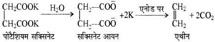 RBSE Solutions for Class 11 Chemistry Chapter 13 हाइड्रोकार्बन img 11