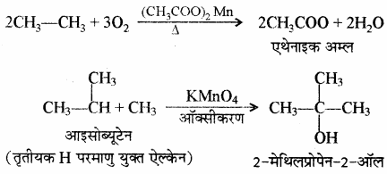 RBSE Solutions for Class 11 Chemistry Chapter 13 हाइड्रोकार्बन img 110