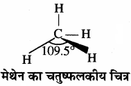 RBSE Solutions for Class 11 Chemistry Chapter 13 हाइड्रोकार्बन img 17