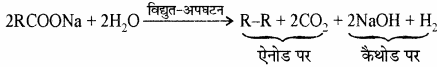 RBSE Solutions for Class 11 Chemistry Chapter 13 हाइड्रोकार्बन img 58
