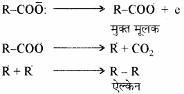 RBSE Solutions for Class 11 Chemistry Chapter 13 हाइड्रोकार्बन img 60