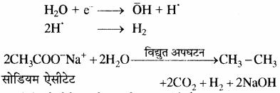 RBSE Solutions for Class 11 Chemistry Chapter 13 हाइड्रोकार्बन img 61