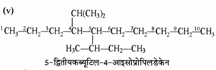 RBSE Solutions for Class 11 Chemistry Chapter 13 हाइड्रोकार्बन img 80
