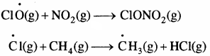 RBSE Solutions for Class 11 Chemistry Chapter 14 पर्यावरणीय रसायन img 21