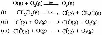 RBSE Solutions for Class 11 Chemistry Chapter 14 पर्यावरणीय रसायन img 9