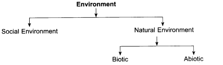 RBSE Class 8 Science Notes Chapter 17 Environment a