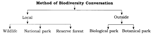 RBSE Class 8 Science Notes Chapter 5 Biodiversity a