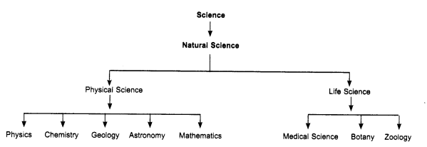 RBSE Class 9 Science Notes Chapter 1 Bharat and Science 1