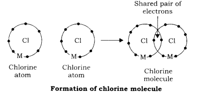RBSE Class 9 Science Notes Chapter 4 Chemical Bond and Chemical Equation 14