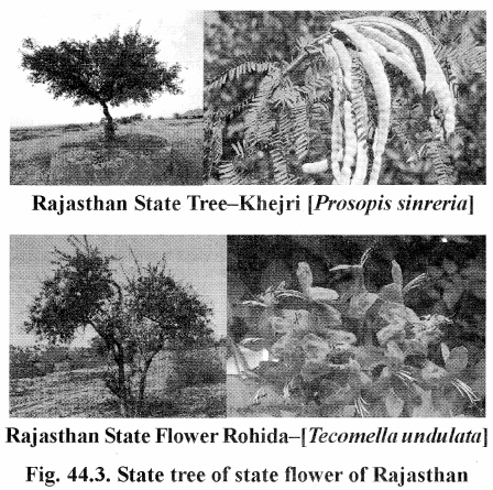 RBSE Solutions for Class 11 Biology Chapter 44 Biodiversity img-2