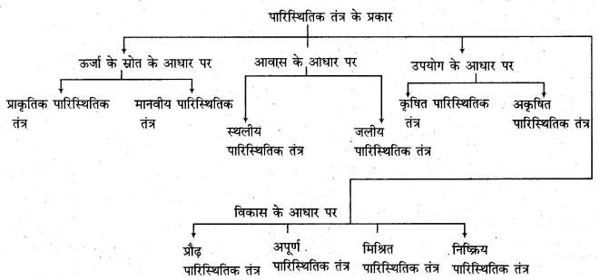 RBSE Solutions for Class 11 Physical Geography Chapter 22 पारिस्थितिकीय तंत्र की संकल्पना 1