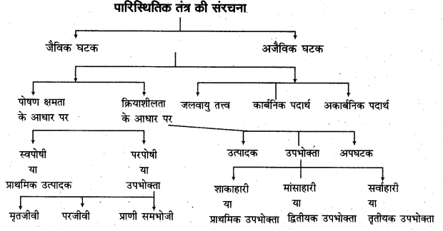 RBSE Solutions for Class 11 Physical Geography Chapter 22 पारिस्थितिकीय तंत्र की संकल्पना 2