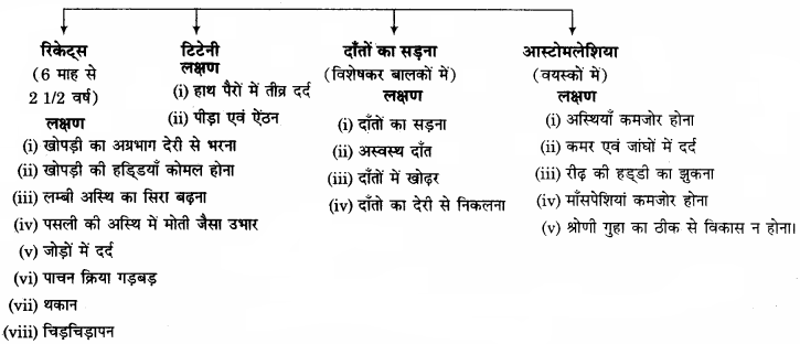 RBSE Solutions for Class 11 Home Science Chapter 14 भोजन के पोषक तत्व-सूक्ष्म मात्रिक-3
