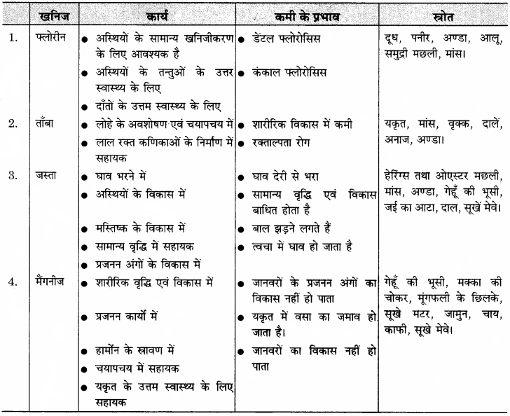 RBSE Solutions for Class 11 Home Science Chapter 14 भोजन के पोषक तत्व-सूक्ष्म मात्रिक-8