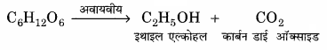 RBSE Solutions for Class 11 Home Science Chapter 16 पाक क्रिया एवं भोजन की पौष्टिकता बढ़ाना