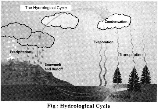 RBSE Solutions for Class 11 Physical Geography Chapter 17 Hydrological Cycle and Distribution of Water Bodies img-1