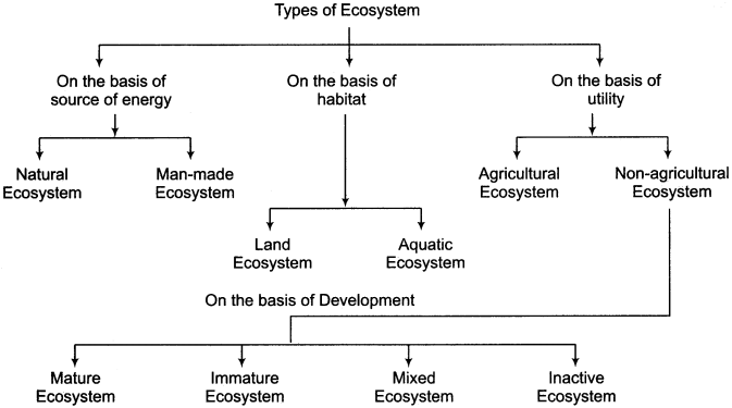 RBSE Solutions for Class 11 Physical Geography Chapter 22 Concept of Ecosystem img-1