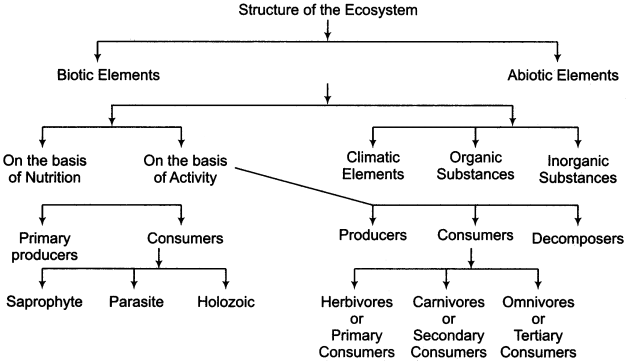 RBSE Solutions for Class 11 Physical Geography Chapter 22 Concept of Ecosystem img-2