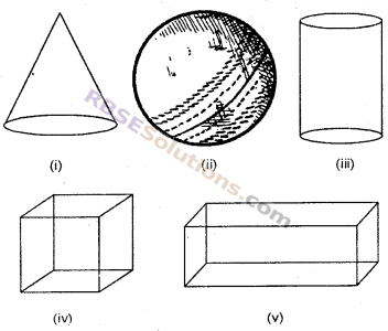 RBSE Solutions for Class 6 Maths Chapter 10 त्रिविमीय आकारों की समझ Ex 10.1 image 1