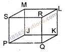 RBSE Solutions for Class 6 Maths Chapter 10 त्रिविमीय आकारों की समझ Ex 10.1 image 2