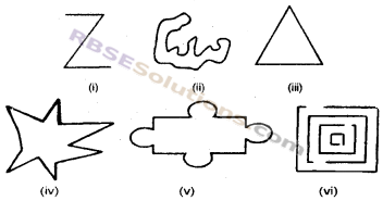 RBSE Solutions for Class 6 Maths Chapter 9 सरल द्विविमीय आकृतियाँ Ex 9.1 image 1