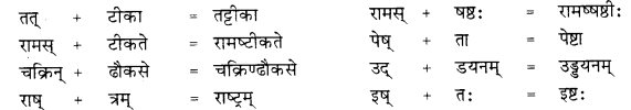 RBSE Class 10 Sanskrit व्याकरणम् सन्धिः image 12