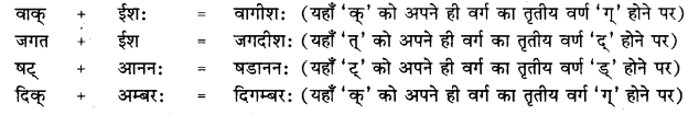 RBSE Class 10 Sanskrit व्याकरणम् सन्धिः image 13