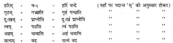 RBSE Class 10 Sanskrit व्याकरणम् सन्धिः image 15