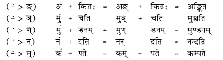 RBSE Class 10 Sanskrit व्याकरणम् सन्धिः image 17