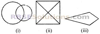 RBSE Solutions for Class 7 Maths Chapter 11 सममिति Additional Question