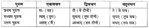 RBSE Class 10 Sanskrit व्याकरणम् अनुवाद-कार्यम् image 2