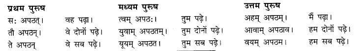 RBSE Class 10 Sanskrit व्याकरणम् अनुवाद-कार्यम् image 6