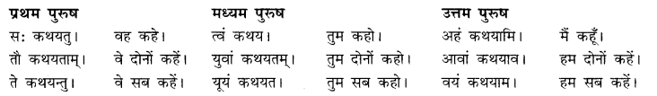 RBSE Class 10 Sanskrit व्याकरणम् अनुवाद-कार्यम् image 8