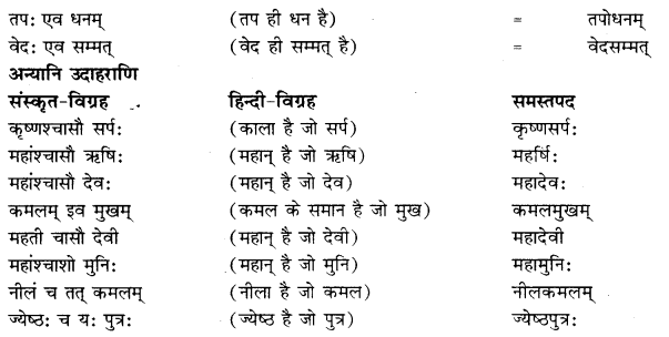 RBSE Class 10 Sanskrit व्याकरणम् समासः image 10 b