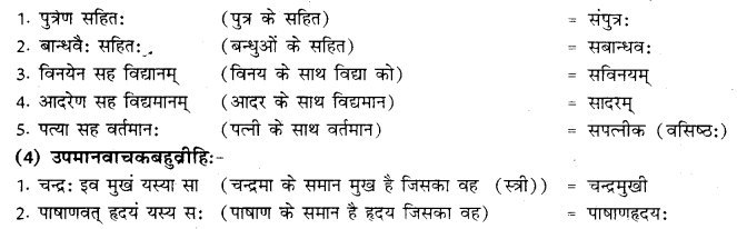 RBSE Class 10 Sanskrit व्याकरणम् समासः image 14