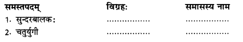 RBSE Class 10 Sanskrit व्याकरणम् समासः image 15 b