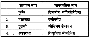 RBSE Class 10 Science Model Paper 1 image 16