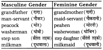 RBSE Class 6 English Vocabulary Gender image 6
