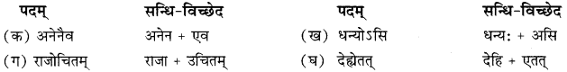 RBSE Solutions for Class 10 Sanskrit स्पन्दन Chapter 11 स्वदेशं कथं रक्षेयम् image 2