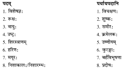 RBSE Solutions for Class 10 Sanskrit स्पन्दन Chapter 12 मरुसौन्दर्यम् image 2