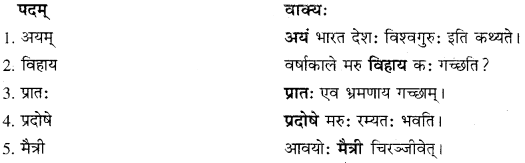 RBSE Solutions for Class 10 Sanskrit स्पन्दन Chapter 12 मरुसौन्दर्यम् image 5