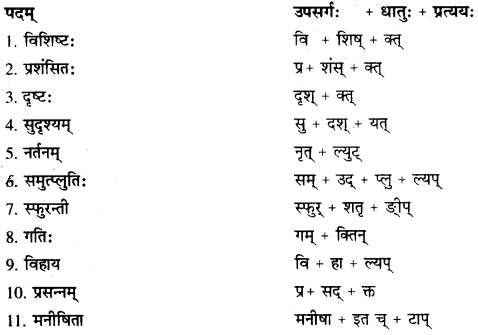 RBSE Solutions for Class 10 Sanskrit स्पन्दन Chapter 12 मरुसौन्दर्यम् image 8