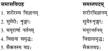 RBSE Solutions for Class 10 Sanskrit स्पन्दन Chapter 12 मरुसौन्दर्यम् image 9