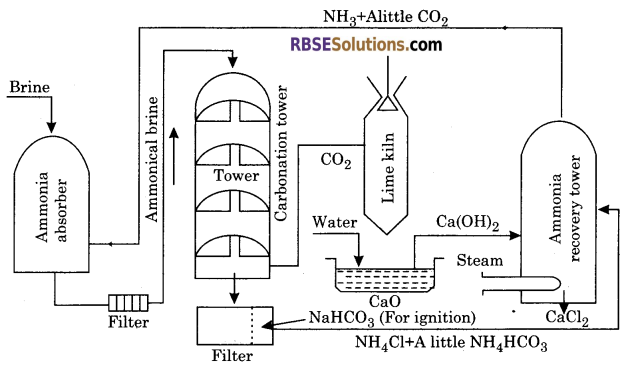 RBSE Solutions for Class 11 Chemistry Chapter 10 s-Block Elements 11