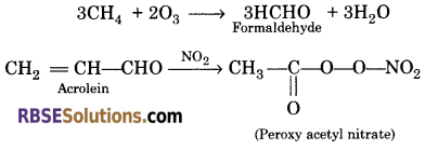 RBSE Solutions for Class 11 Chemistry Chapter 14 Environmental Chemistry 2